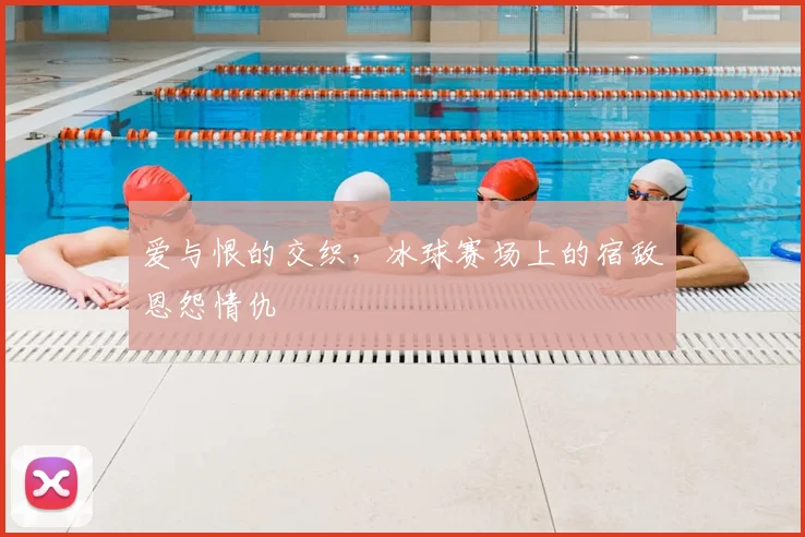 爱与恨的交织，冰球赛场上的宿敌恩怨情仇