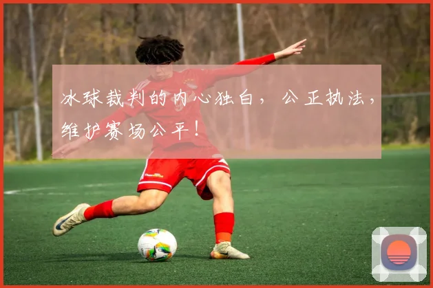 冰球裁判的内心独白,公正执法,维护赛场公平!