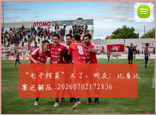 “电子榨菜”火了，网友：比看比赛还解压_20260702172836