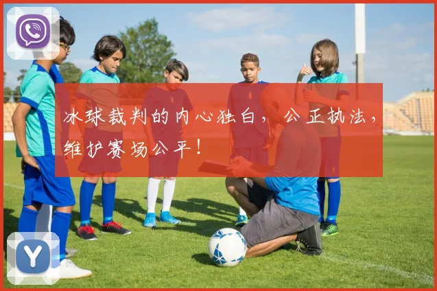 冰球裁判的内心独白，公正执法，维护赛场公平！