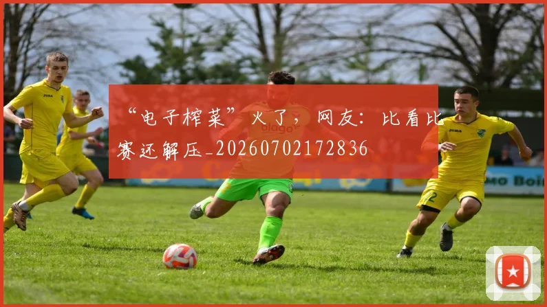 “电子榨菜”火了，网友：比看比赛还解压_20260702172836