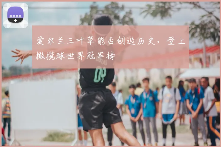 爱尔兰三叶草能否创造历史，登上橄榄球世界冠军榜