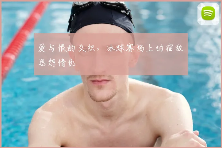 爱与恨的交织，冰球赛场上的宿敌恩怨情仇